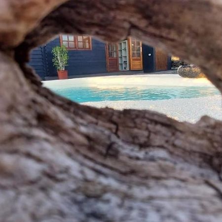 Villa Los Guirres Tazacorte Exteriör bild