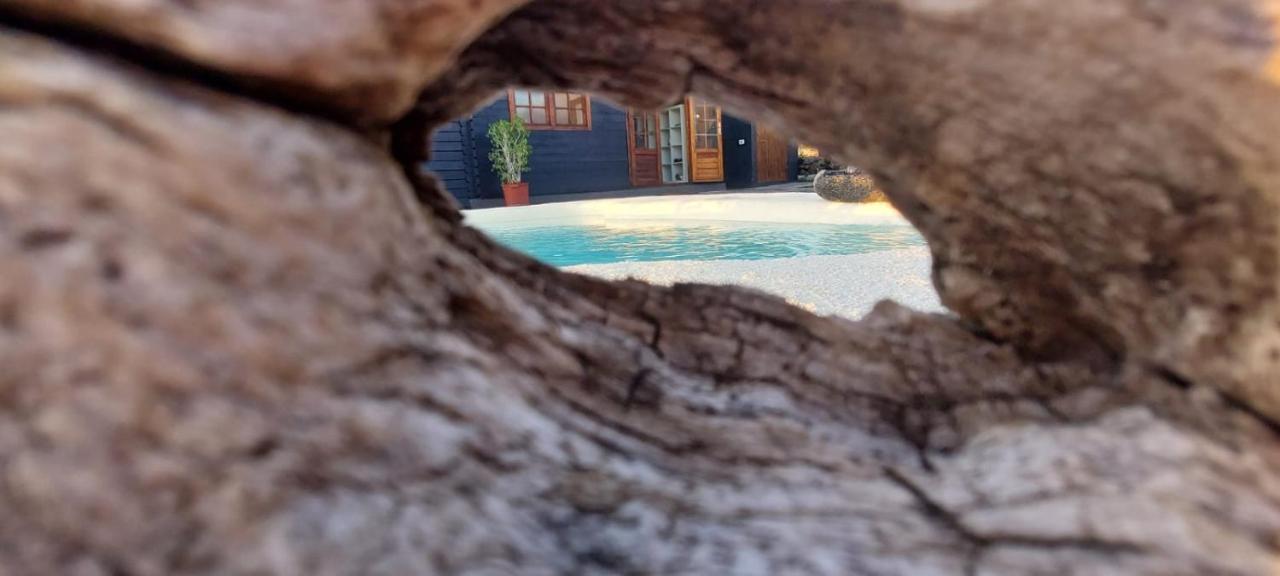 Villa Los Guirres Tazacorte Exteriör bild